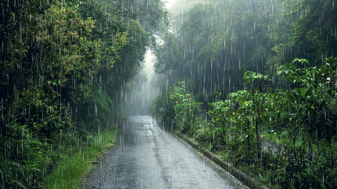 চাঁপাইনবাবগঞ্জে ভোর থেকেই হালকা-মাঝারি বৃষ্টি, কাল আরও বাড়তে পারে